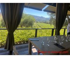Experience Premium Sonoma Wine Tours with Napa Sonoma Valley Wine Tour Driver