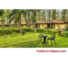 Best Forest Stay in Jim Corbett for Nature Lovers
