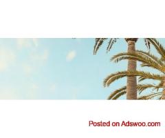 Trusted Downey Estate Planning Lawyer | Secure Your Future with VZ Law
