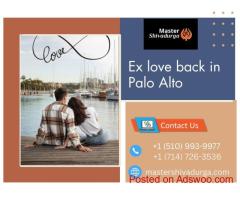 Ex Love Back in Palo Alto