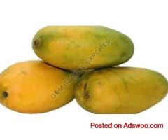 Fresh Neelam Mango