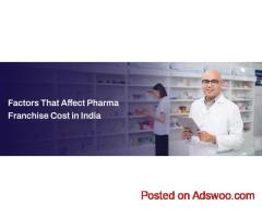Factors That Affect Pharma Franchise Cost in India