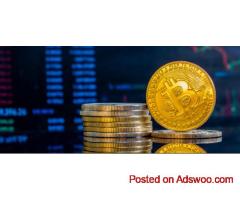 Crypto Fund Solutions by CV5 Capital for Modern Investors