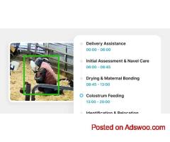 Advanced Dairy Management Software Solutions | Cattle Care