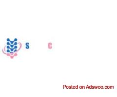 Chiropractor in West Delhi for Back Pain & Posture Correction