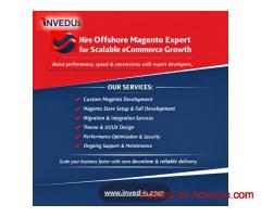 Top Offshore Magento Experts for Hire at Low Cost