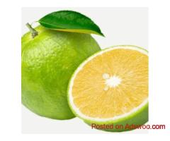 Fresh lemon supplier in india
