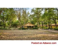 Jungle Resort in Jim Corbett | Nature Stay Near Bijrani Zone