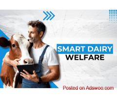 Cattle Care | The Leading Cow Software for Smarter Herd Management