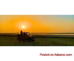 Little Rann of Kutch Safari | Ecolodge in Gujarat
