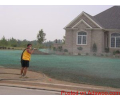 Hydroseeding Near Me
