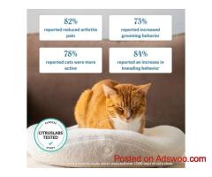 10$ off on all heated cat beds