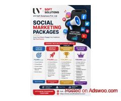 SEO Service in Chandigarh for Startups and Enterprises | UV Soft Solutions Pvt. Ltd.