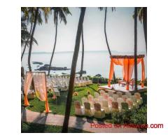 Elegant Wedding Planner in Delhi NCR for Your Dream Day