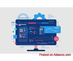 Custom Application Development Company