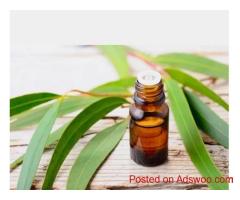 Eucalyptus Essential Oil Exporters