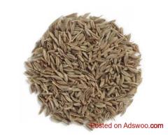 Cumin Seeds Exporters