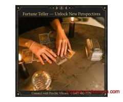Fortune Teller in King City: Unlock New Perspectives