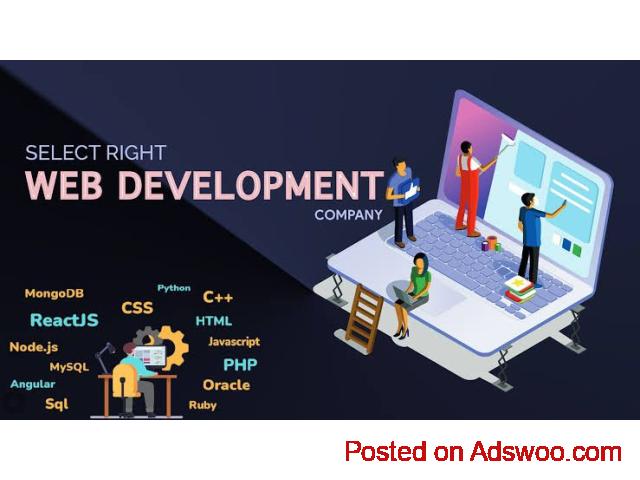 Best Website Designing Company in Delhi | Responsive & SEO-Friendly Websites - 1/1