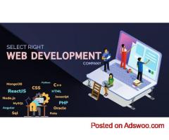 Best Website Designing Company in Delhi | Responsive & SEO-Friendly Websites