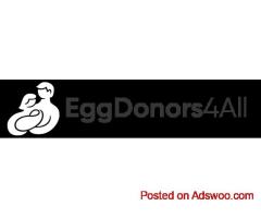 Egg Donor Compensation | Learn About Highest Egg Donor Compensation