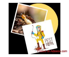 Sorna Valli Pest Control