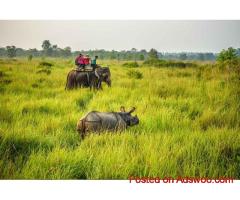 kaziranga national park safari | Birding in Eagle Nest