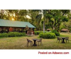 Top Resorts in Jim Corbett | Luxury, Nature & Adventure Combined