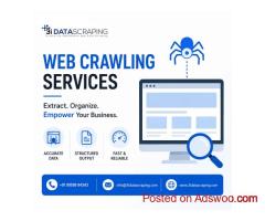 Professional Web Crawling Services for Reliable Business Data