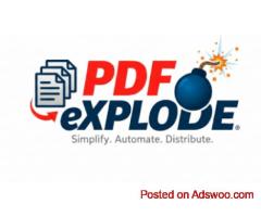 Secure Auto Invoice Delivery with a Password | Pdf-Explode