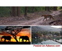 Corporate Offsite Venues in Jim Corbett for Productive Team Retreats