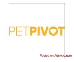 AutoScooper 11 Cat Litter Box (-$80 OFF)