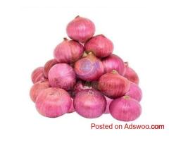 Onion Exporter and Trader in India | Saim Agro