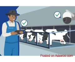 Artificial Intelligence for Dairies: Smarter Farming with Cattle-Care