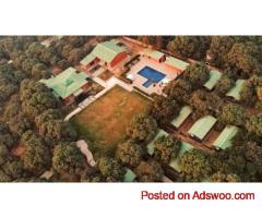 Mango Tree Garhmukteshwar – A Peaceful Luxury Riverside Escape