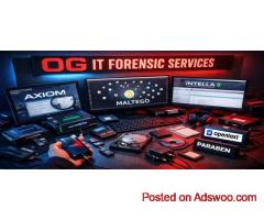 Digital Forensic Expert Witness