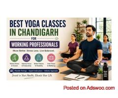 Best Yoga and Meditation Classes in Chandigarh – Find Your Balance
