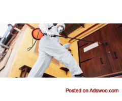 rodent removal Melbourne