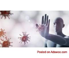 Black Mold Illness Treatment Vero Beach
