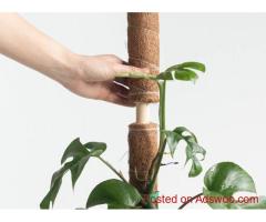 Coco Coir Pole - Vantidebamboo.com