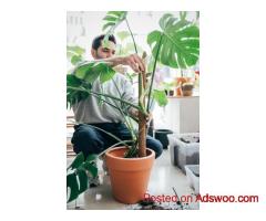 Coco Coir Pole - Vantidebamboo.com