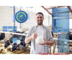 Smart Dairy Management with Artificial Intelligence for Dairies